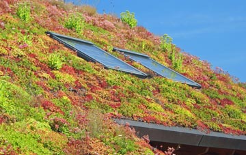 Brandwood living roof systems